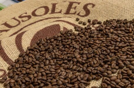 Ministro David Martínez anunció los productores de café están preparando sus mejore cosechas