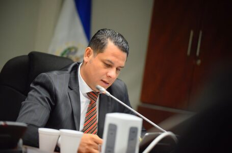 “Portillo Cuadra, no aceptó defender a Norman Quijano, porque sabe de las negociaciones con las pandillas”: Walter Coto