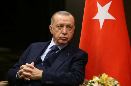«Damos mucha importancia a su visita», informa Recep Erdoğan a presidente Bukele