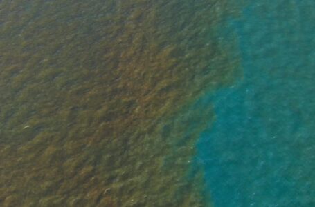 MARN advierte sobre marea roja en costa salvadoreña