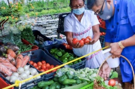 Agricultura  promueve agromercado en Suchitoto