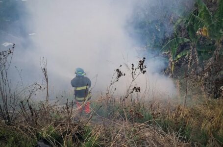 Cuerpo de Bomberos trabaja en sofocar incendio en maleza seca sobre carretera Panamericana