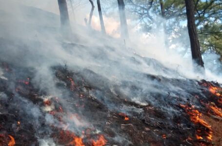 Director de Bomberos pide responsabilidad a población para evitar más incendios