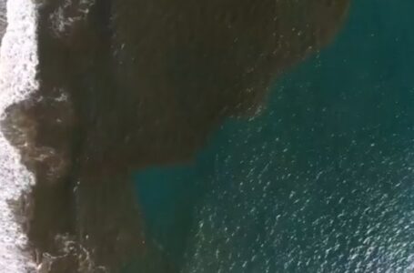 Veda de moluscos se extiende 8 días más por persistencia de marea roja