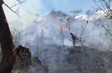 Autoridades reportan incendio en zona protegida de San Marcelino, Izalco