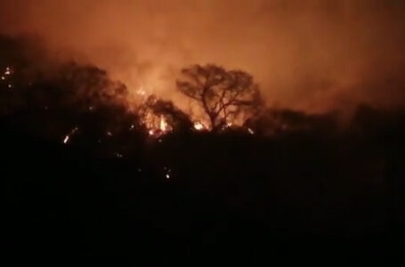 Bomberos inician extinción de incendio en Km. 78 carretera a Metapán