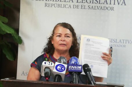Exdiputada Blanca Flor Bonilla del FMLN recibió $2 millones para oenegé que dirigía