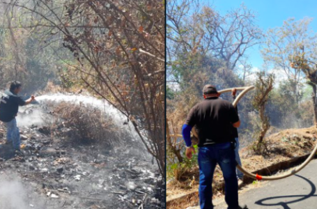 Personal de alcaldía de Zaragoza logra sofocar incendio en maleza seca