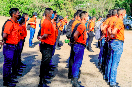 Bomberos retorna a cerro Champantepec a liquidar remanentes de incendio forestal