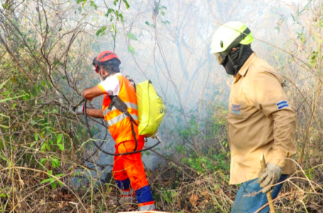 Bomberos extingue incendio en San Juan Opico