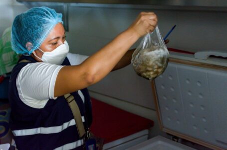 MINSAL realiza inspección en venta de moluscos en La Libertad