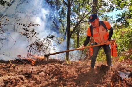 Bomberos sofocó un incendio forestal en el cerro Izotalillo en Chalatenango