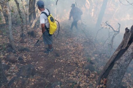 Guardarrecursos de Medio Ambiente atienden incendios en Áreas Naturales Protegidas