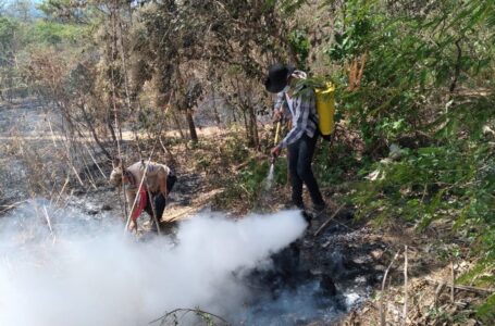 Cuerpo de Bomberos trabaja en extinguir fuerte incendio en Apastepeque