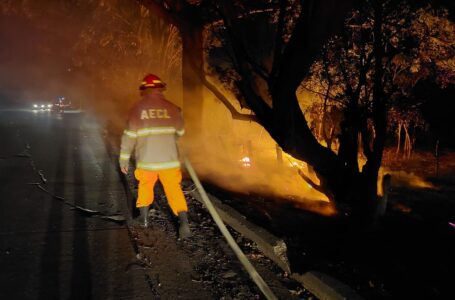Cuerpo de bomberos sofoca incendios en maleza seca en diferentes puntos del país