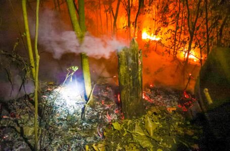 Incendios en maleza seca ponen en riesgo la vida de la población