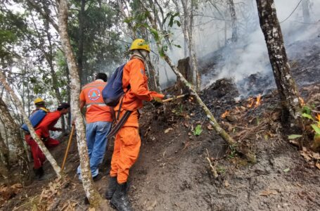 Bomberos y Protección Civil se unen para extinguir incendio forestal en Cerro Izotalillo