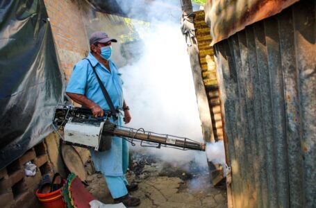 Salud intensifica campaña de eliminación del zancudo transmisor del dengue, zika y chikungunya