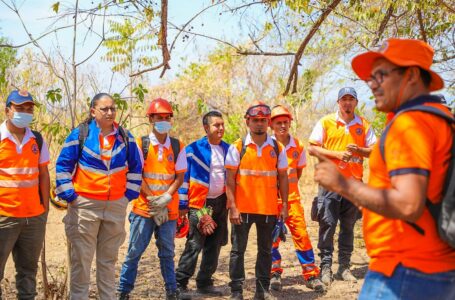 Realizan ronda en parque Walter Thilo Deininger para evitar propagación de incendio forestal