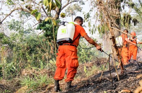 Bomberos confirman que 12 hectáreas fueron consumidas por las llamas en Ciudad Delgado