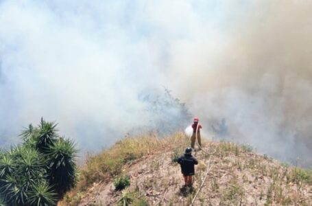Tras intensa jornada, Bomberos extinguen incendio en Dolores Apulo
