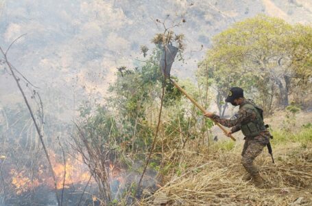 Incendio en maleza seca se registra en cerro Santa Lucía