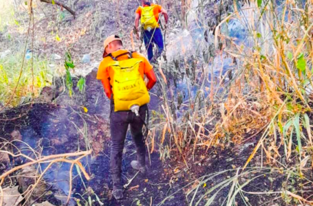 Bomberos liquida incendio de maleza seca en la colonia Escalón