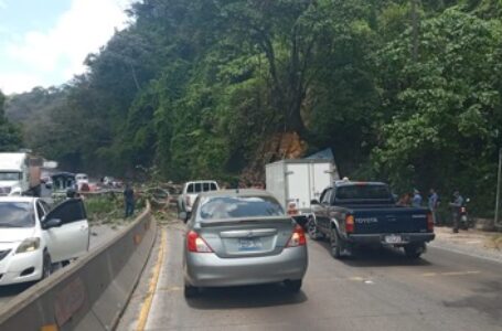 Autoridades de Protección Civil reportan derrumbe en carretera Los Chorros
