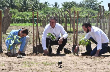 Ministerio de Agricultura asegura que programa Sembrando Vida lleva un avance el 95 %