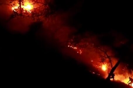 Bomberos, soldados y policías trabajan por sofocar un incendio forestal entre Colón y Talnique