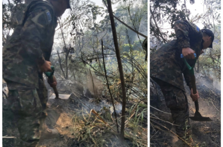 Trabajo interinstitucional permite sofocar incendio en comunidad Anémona del municipio de San Martín