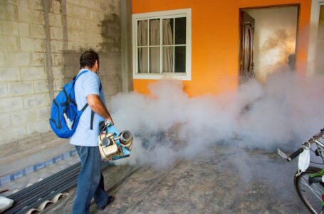Ministerio de Salud Intensifica acciones para prevenir el dengue