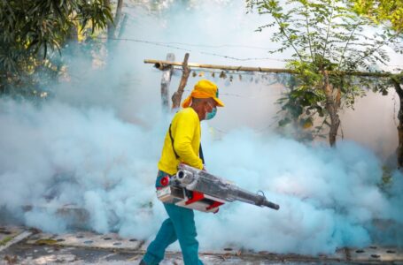 Salud mantiene campaña de fumigación en 122 municipios para eliminar zancudos