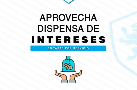 Zaragocenses podrán pagar las tasas municipales libre de intereses hasta el 20 de julio
