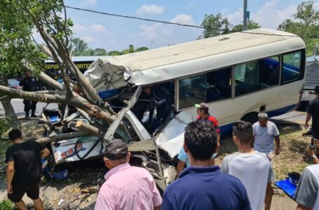Microbús choca con un árbol y deja lesionados en  sector de San Pedro Perulapán