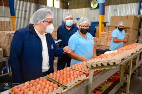 Defensoría del Consumidor verifica precios en principal distribuidora de huevos del país