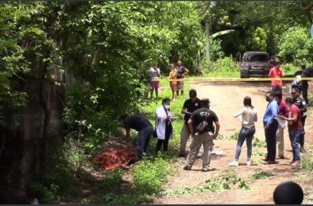 Capturan a encargados de perros que mataron a una mujer en San Alejo, La Unión