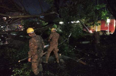 Entidades del gobierno se activan para atender emergencias generadas por lluvias a nivel nacional