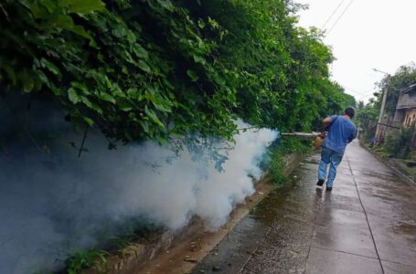 Prosigue campaña de fumigación contra el zancudo transmisor del dengue, zika y chikungunya