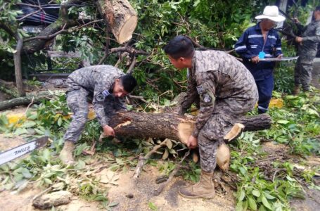 Fuerza Armada atiende varias emergencias por lluvias que afectan al país