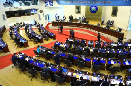 Diputados aprueban Ley Crecer Juntos, en donde se busca garantizar derechos de niños y adolescentes