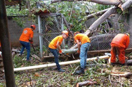 Equipos Tácticos de Protección Civil realizan trabajos de remoción de escombros en distintas áreas del país