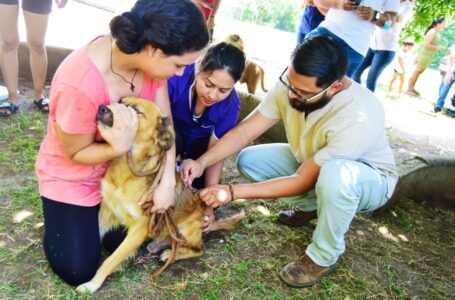 Vacunación y desparasitación de mascotas en La Libertad