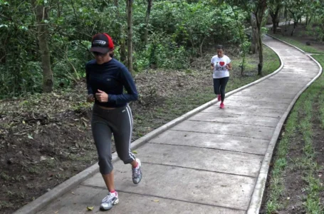 MARN pronostica clima ideal para actividades al aire libre