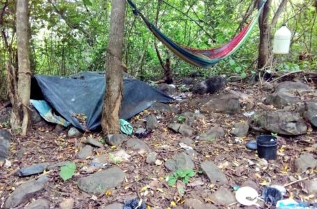 FAES ubica campamento clandestino de pandilleros en un manglar de La Unión