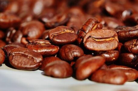India interesada en importar café y cacao salvadoreño