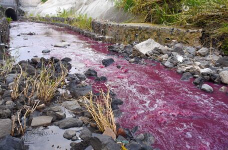 Bukele advierte que contaminación de quebrada El Piro no quedará impune