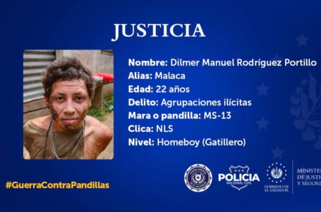 Gustavo Villatoro tras captura de gatillero: «Estos criminales son los que defiende la oposición»