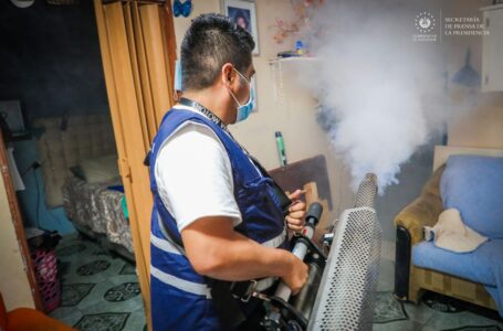 Gobierno y alcaldías se unen en jornada de fumigación contra el dengue en Santo Tomás