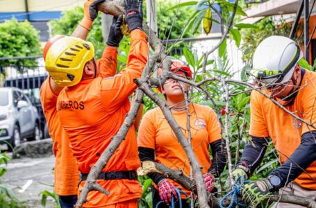 Protección Civil realiza labores de descopado en diferentes puntos de San Salvador